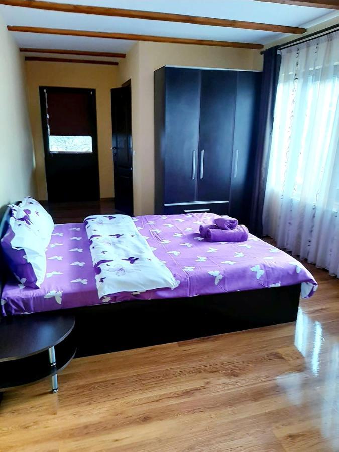 Casa De Vacanta Sadu Экстерьер фото