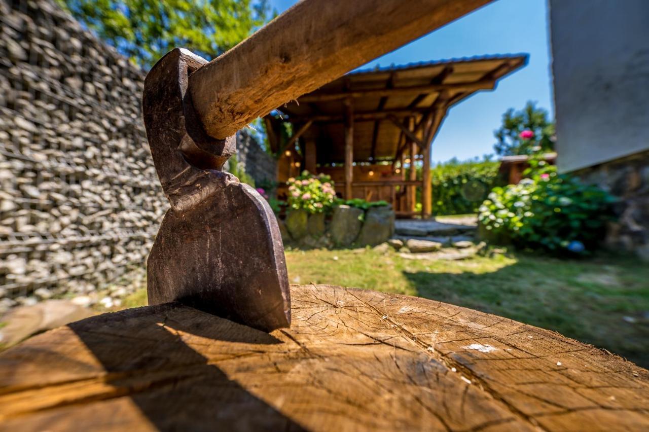 Casa De Vacanta Sadu Экстерьер фото